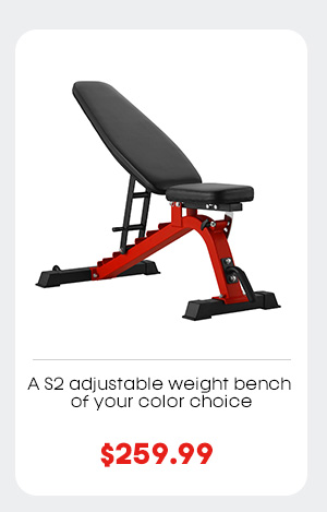 S2 Weight Bench